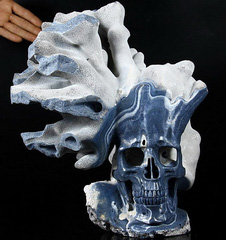 May 16, 2015 ACSAD (A Crystal Skull a Day) - Oceanus - Blue Sponge Coral Carved Crystal Skull Sculpture