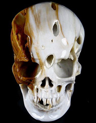 May 9, 2015 ACSAD (A Crystal Skull a Day) - The Crystal Skull of Resolution - Petrified Wood Carved Crystal Skull Sculpture, Realistic