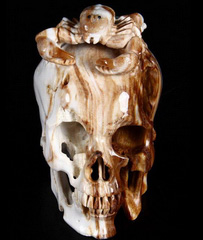 May 22, 2015 ACSAD (A Crystal Skull a Day) - The Crystal Skull of Perseverance - Petrified Wood Carved Crystal Skull and Scorpion Sculpture
