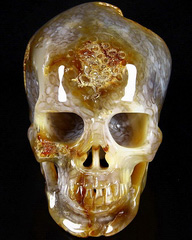 HUGE 5.5" Coral Fossil Carved Crystal Skull, Super Realistic