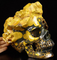 Awesome Lifesized 8.1" Ocean Jasper Carved Crystal Skull Sculpture
