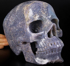 LIFESIZED GEMSTONE 8.1" Purple Grape Agate Carved Crystal Skull,Super Realistic, Crystal Healing