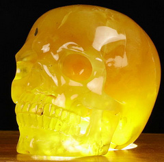 Gemstone 3.1" Baltic Amber Carved Crystal Skull,Super Realistic, Crystal Healing