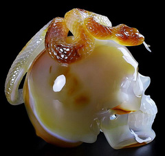 Five Poisons - 6.2" Carnelian Carved Crystal Skull with Snake Companion Sculpture, Super Realistic