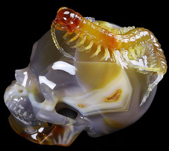 Five Poisons - 5.2" Carnelian Carved Crystal Skull with Centipede Companion Sculpture, Super Realistic