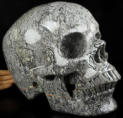 42.8LB 11.5" Titan Crocodile Jasper Carved Crystal Skull,Super Realistic, Crystal Healing