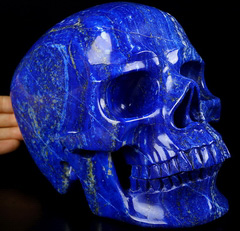 BEST QUALITY 7.8" Lapis Lazuli Carved Crystal Skull,Super Realistic, Crystal Healing