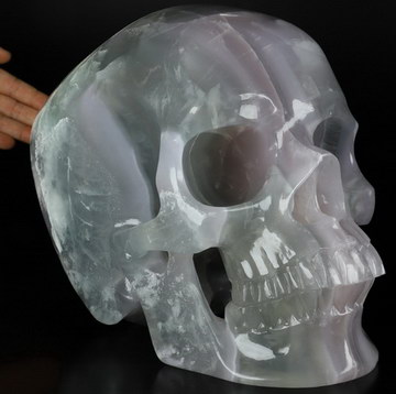 46.3LB Titan 12.2" Fluorite Carved Crystal Skull,Super Realistic, Crystal Healing