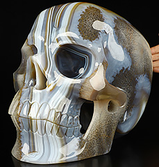 Titan 12.2" Premium Brazilian Agate Carved Crystal Skull,Super Realistic, Crystal Healing
