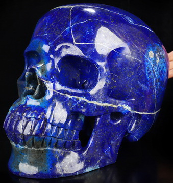 The Biggest Lapis Lazuli Skull in the World! Museum Quality 46.1LB Titan 12.4" Lapis Lazuli Hand Carved Crystal Skull, Crystal Healing