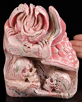 6.1" Rhodochrosite Hand Carved Crystal Skull and Dragon Fine Art Sculpture, Crystal Healing