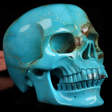 Museum Quality! 6.1" Turquoise Hand Carved Crystal Skull, Super Realistic, Crystal Healing